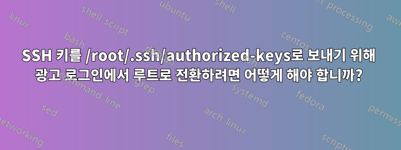SSH 키를 /root/.ssh/authorized-keys로 보내기 위해 광고 로그인에서 루트로 전환하려면 어떻게 해야 합니까?