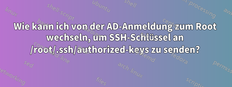 Wie kann ich von der AD-Anmeldung zum Root wechseln, um SSH-Schlüssel an /root/.ssh/authorized-keys zu senden?