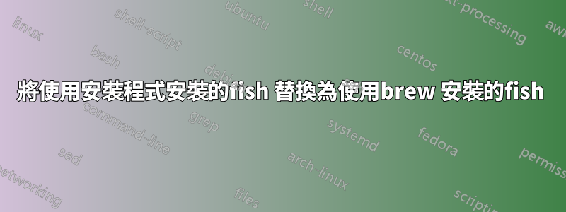 將使用安裝程式安裝的fish 替換為使用brew 安裝的fish
