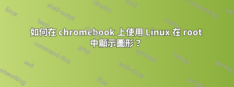 如何在 chromebook 上使用 Linux 在 root 中顯示圖形？