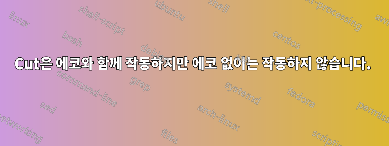 Cut은 에코와 함께 작동하지만 에코 없이는 작동하지 않습니다.