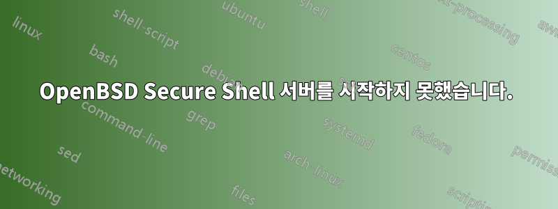 OpenBSD Secure Shell 서버를 시작하지 못했습니다.