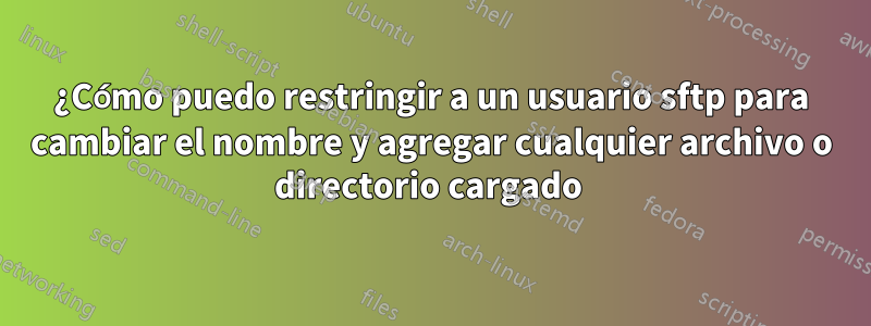 ¿Cómo puedo restringir a un usuario sftp para cambiar el nombre y agregar cualquier archivo o directorio cargado 