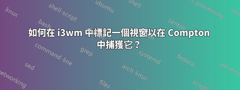 如何在 i3wm 中標記一個視窗以在 Compton 中捕獲它？