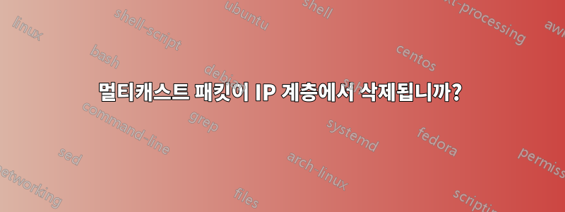 멀티캐스트 패킷이 IP 계층에서 삭제됩니까?