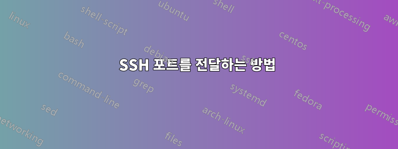 SSH 포트를 전달하는 방법