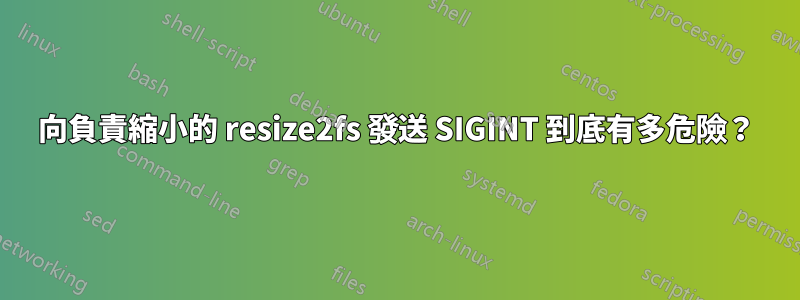 向負責縮小的 resize2fs 發送 SIGINT 到底有多危險？