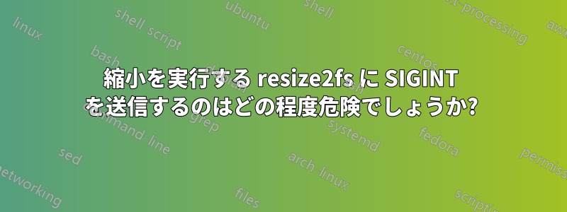 縮小を実行する resize2fs に SIGINT を送信するのはどの程度危険でしょうか?