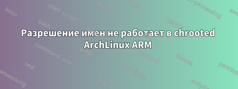 Разрешение имен не работает в chrooted ArchLinux ARM