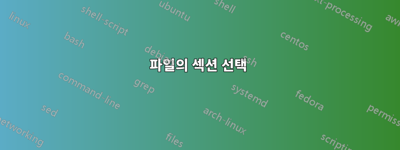 파일의 섹션 선택