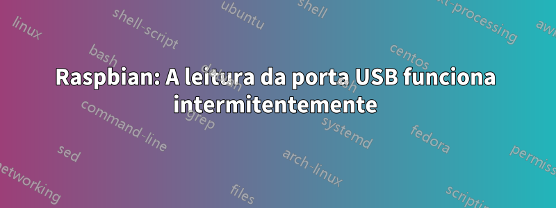 Raspbian: A leitura da porta USB funciona intermitentemente