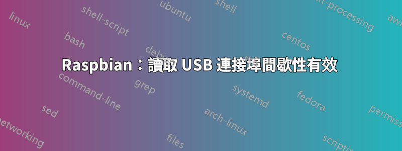 Raspbian：讀取 USB 連接埠間歇性有效