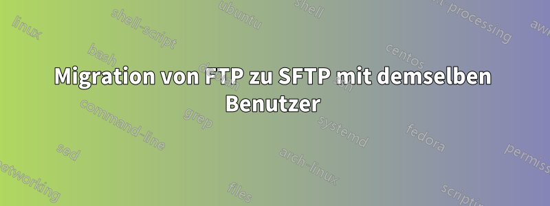 Migration von FTP zu SFTP mit demselben Benutzer