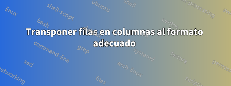 Transponer filas en columnas al formato adecuado