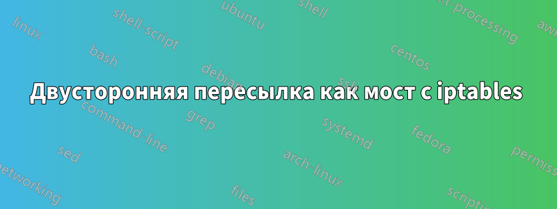 Двусторонняя пересылка как мост с iptables