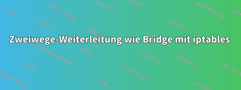 Zweiwege-Weiterleitung wie Bridge mit iptables