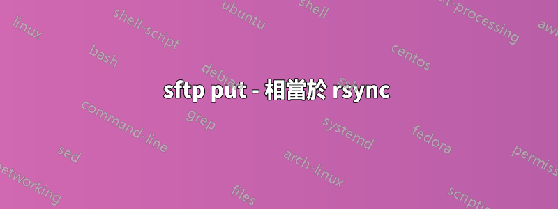 sftp put - 相當於 rsync