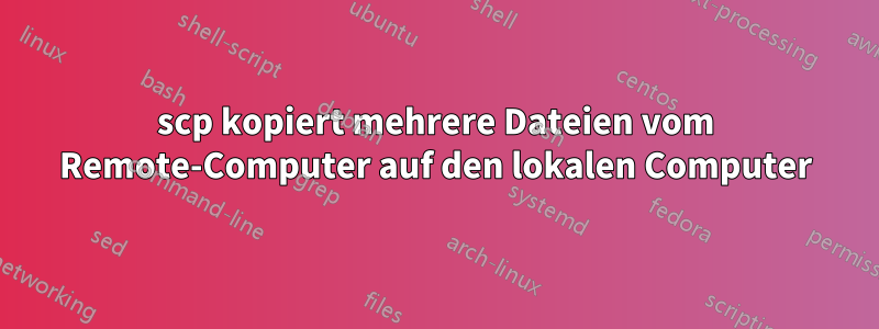 scp kopiert mehrere Dateien vom Remote-Computer auf den lokalen Computer