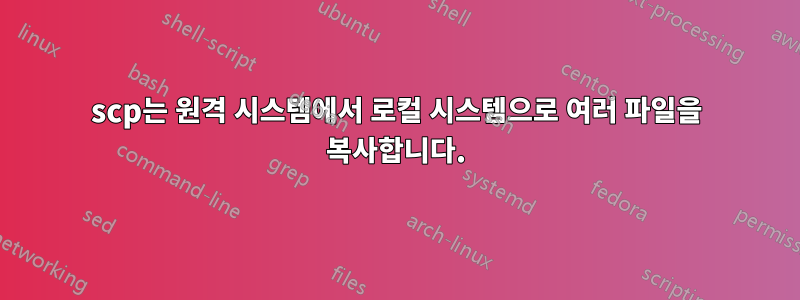 scp는 원격 시스템에서 로컬 시스템으로 여러 파일을 복사합니다.