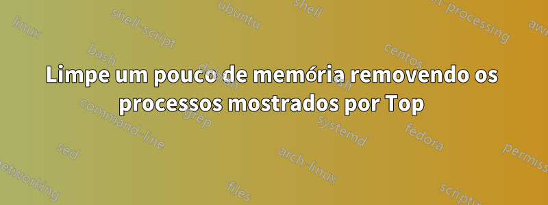 Limpe um pouco de memória removendo os processos mostrados por Top