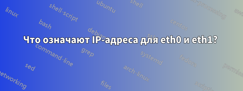 Что означают IP-адреса для eth0 и eth1?