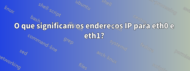 O que significam os endereços IP para eth0 e eth1?