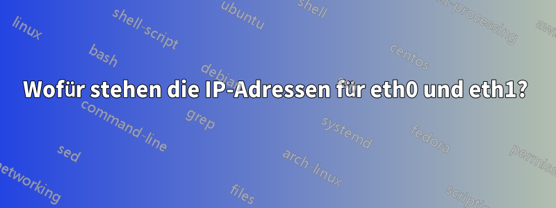 Wofür stehen die IP-Adressen für eth0 und eth1?