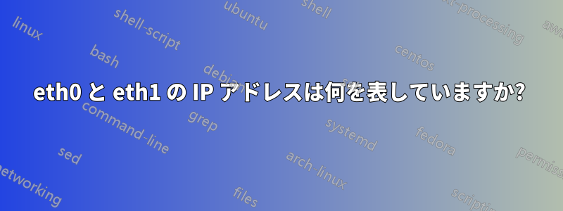 eth0 と eth1 の IP アドレスは何を表していますか?