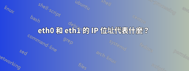 eth0 和 eth1 的 IP 位址代表什麼？