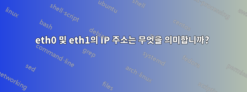 eth0 및 eth1의 IP 주소는 무엇을 의미합니까?