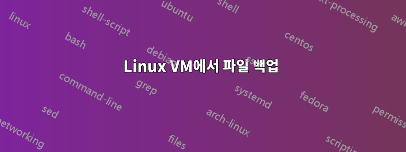 Linux VM에서 파일 백업