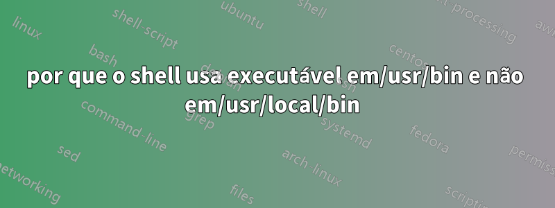 por que o shell usa executável em/usr/bin e não em/usr/local/bin 