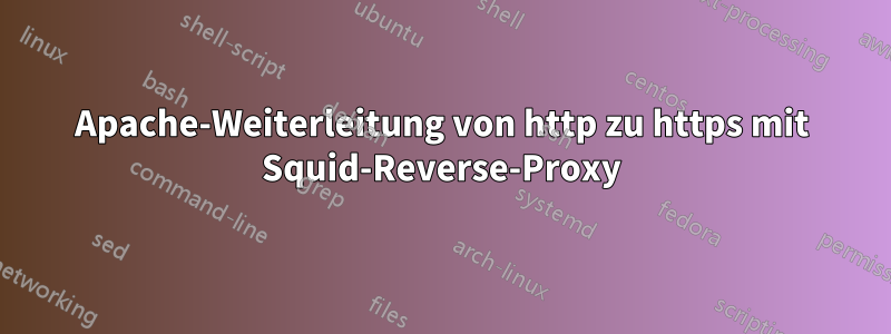 Apache-Weiterleitung von http zu https mit Squid-Reverse-Proxy
