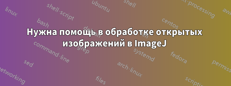 Нужна помощь в обработке открытых изображений в ImageJ