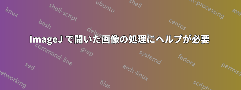 ImageJ で開いた画像の処理にヘルプが必要