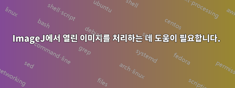 ImageJ에서 열린 이미지를 처리하는 데 도움이 필요합니다.