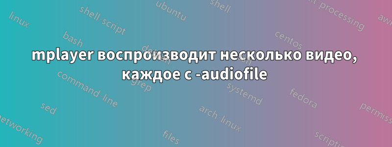 mplayer воспроизводит несколько видео, каждое с -audiofile