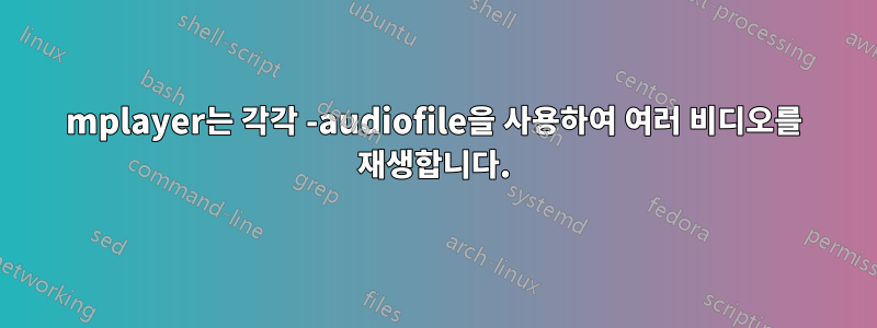 mplayer는 각각 -audiofile을 사용하여 여러 비디오를 재생합니다.