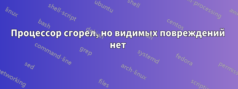 Процессор сгорел, но видимых повреждений нет