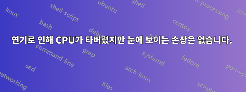 연기로 인해 CPU가 타버렸지만 눈에 보이는 손상은 없습니다.