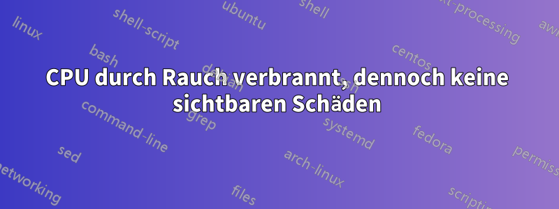 CPU durch Rauch verbrannt, dennoch keine sichtbaren Schäden