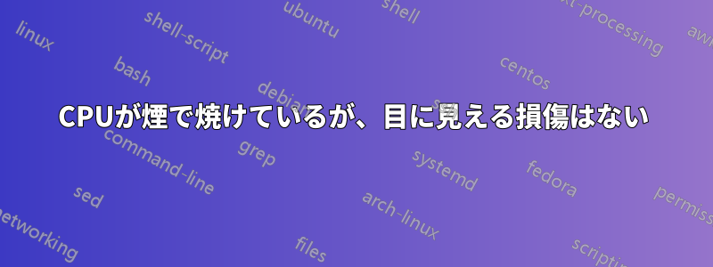 CPUが煙で焼けているが、目に見える損傷はない