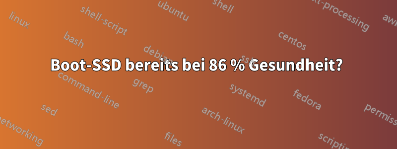 Boot-SSD bereits bei 86 % Gesundheit?