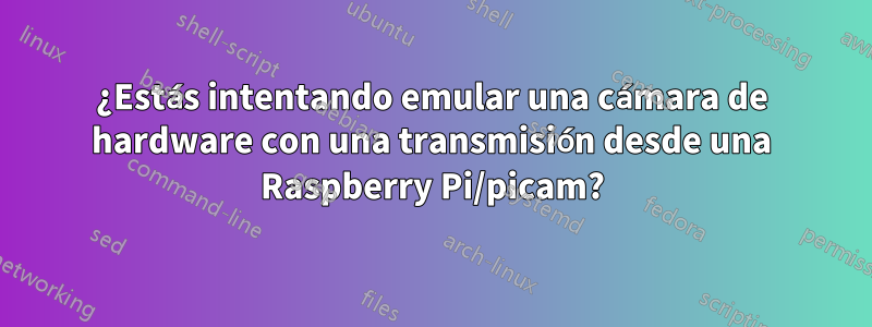 ¿Estás intentando emular una cámara de hardware con una transmisión desde una Raspberry Pi/picam?