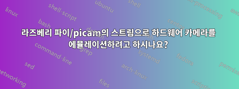 라즈베리 파이/picam의 스트림으로 하드웨어 카메라를 에뮬레이션하려고 하시나요?