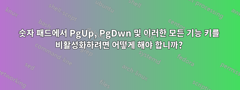 숫자 패드에서 PgUp, PgDwn 및 이러한 모든 기능 키를 비활성화하려면 어떻게 해야 합니까?