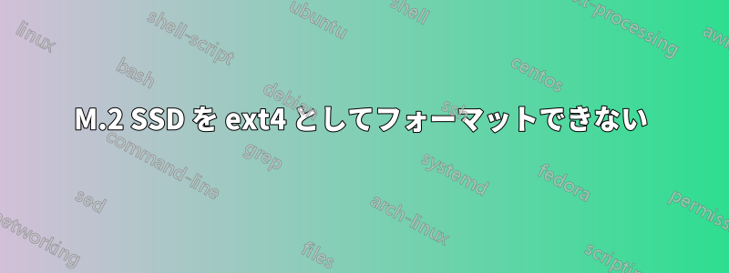 M.2 SSD を ext4 としてフォーマットできない