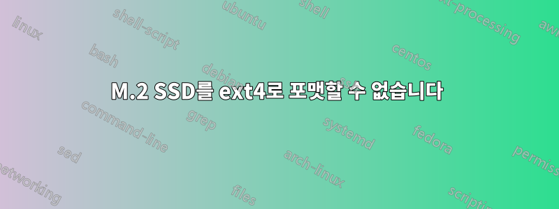 M.2 SSD를 ext4로 포맷할 수 없습니다