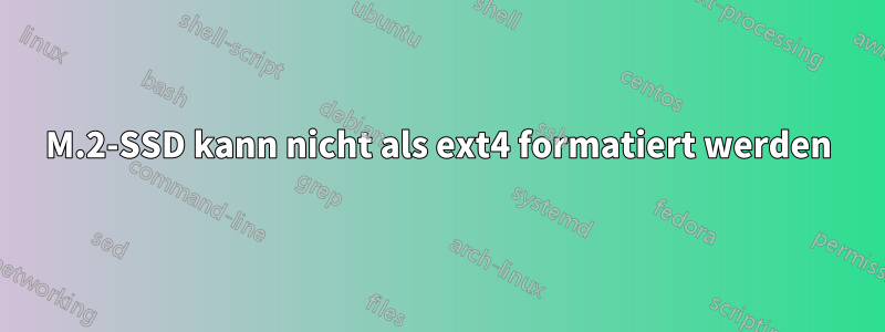 M.2-SSD kann nicht als ext4 formatiert werden