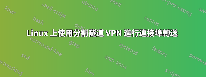 Linux 上使用分割隧道 VPN 進行連接埠轉送